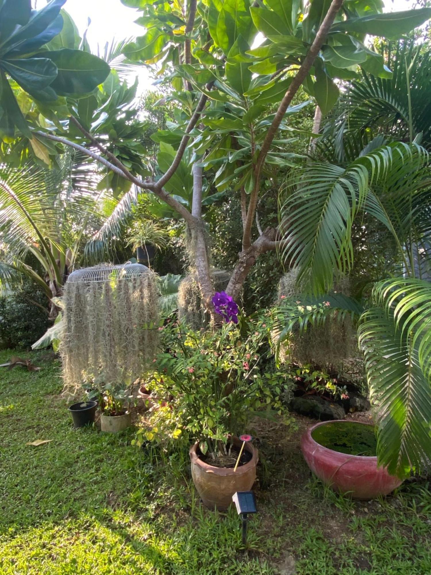 Phangan Hometown Resort - Adults Only Baan Tai Luaran gambar