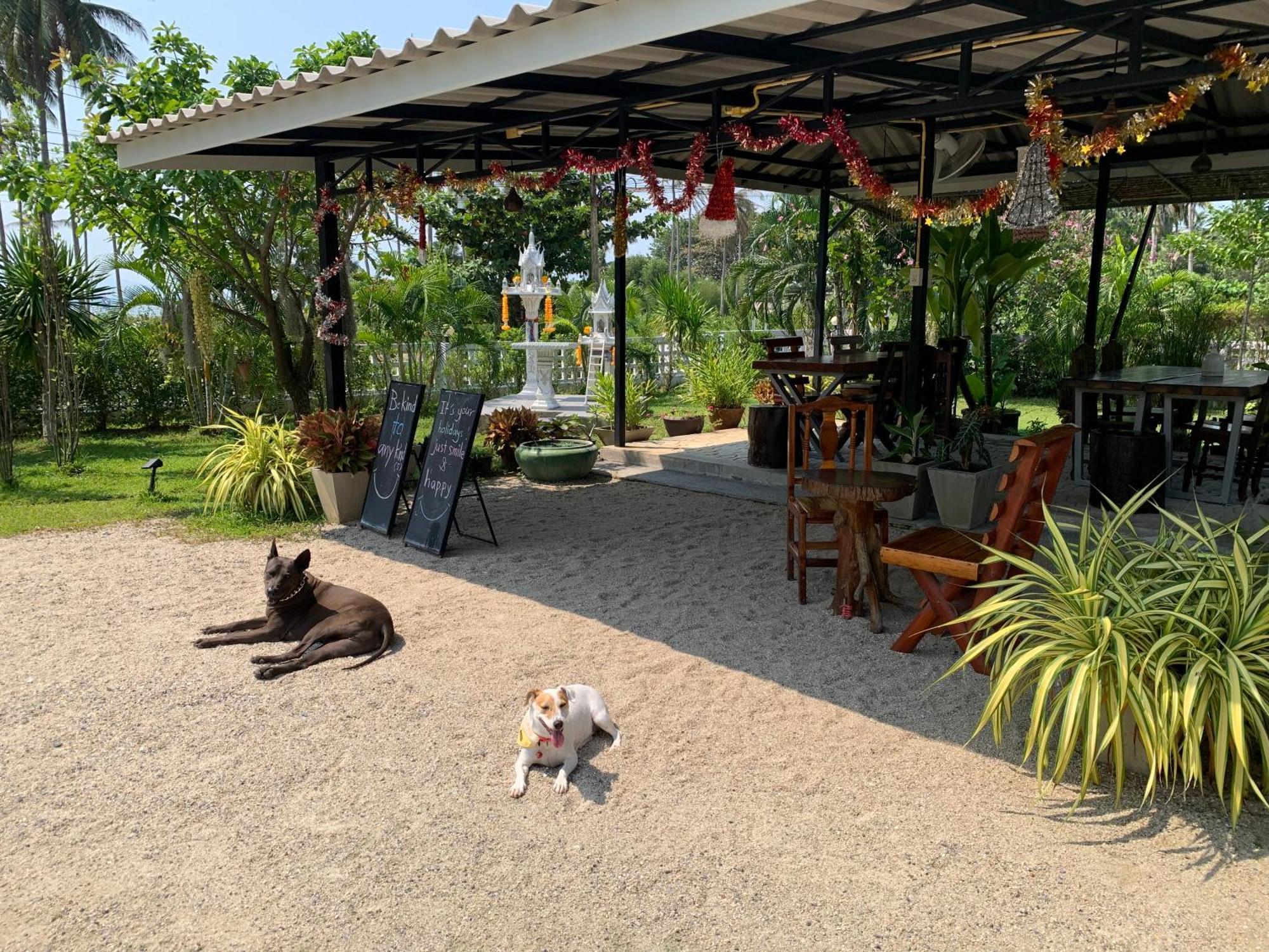 Phangan Hometown Resort - Adults Only Baan Tai Luaran gambar