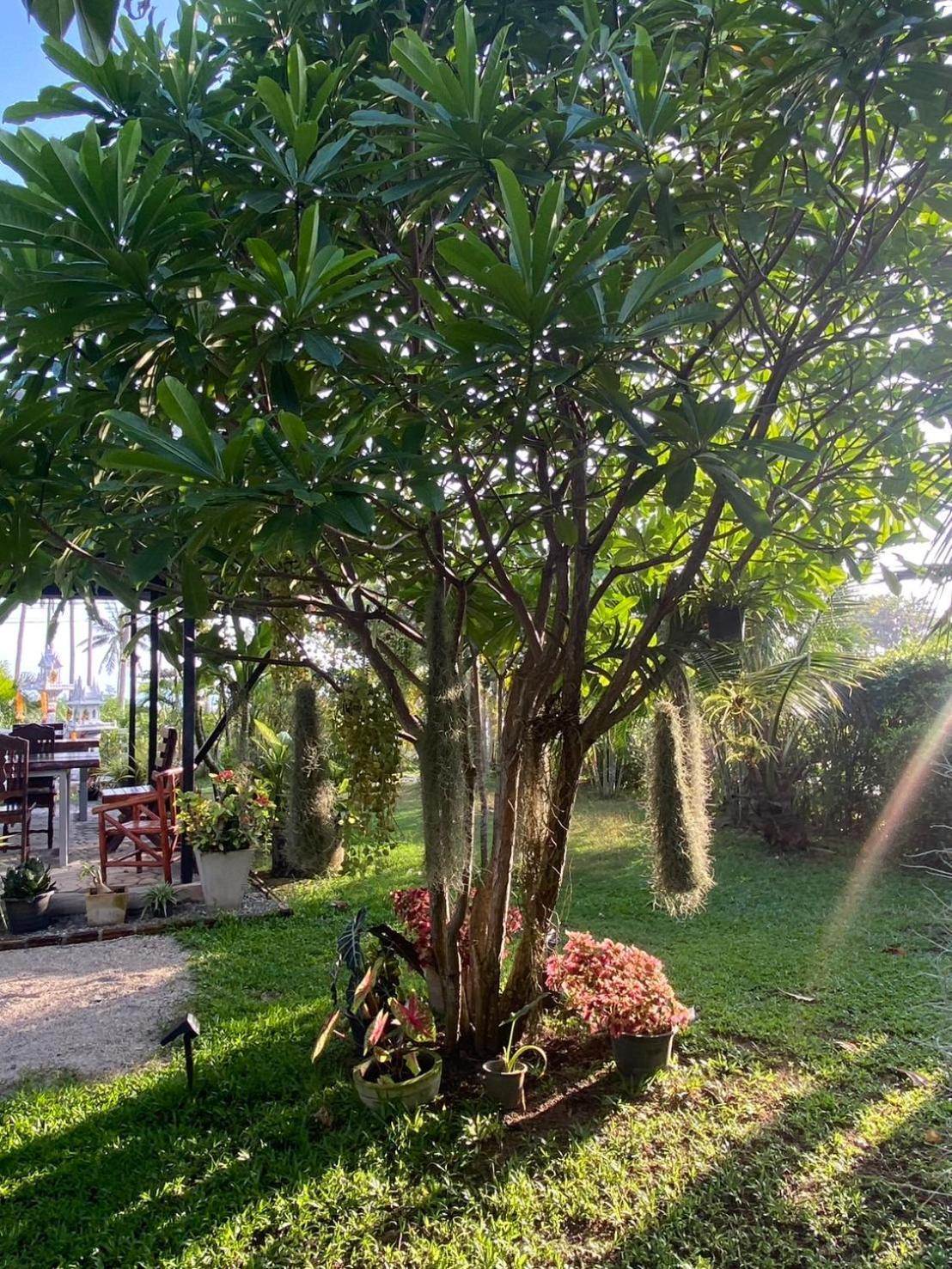 Phangan Hometown Resort - Adults Only Baan Tai Luaran gambar